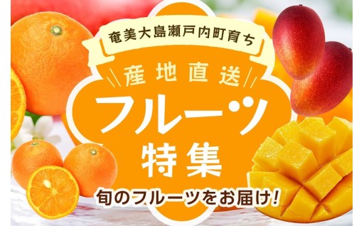 ＼奄美大島 瀬戸内育ち／産地直送のフルーツはいかがでしょうか？