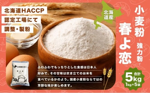 北海道産 春よ恋【強力粉】 5kg（1kg×5袋）