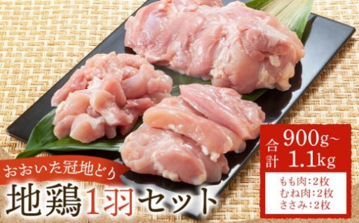 業務用 おおいた冠地どり 1羽セット 900g～1.1kg（もも肉・むね肉・ささみ）