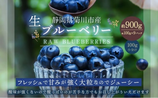 生ブルーベリー 計約900g（約100g×9パック）【2026年4月下旬-6月上旬発送予定】