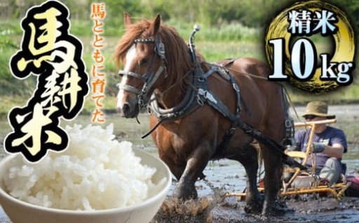 最終受付は＜2月5日＞！北の大地からの贈り物です