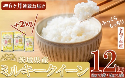 締切1/21まで：最終６ヵ月定期（１月出荷開始分）R7年産 ミルキークイーン 精米 12kg