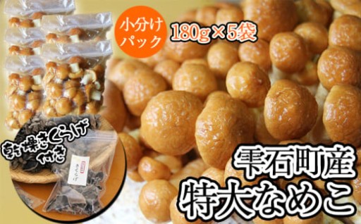 特大なめこ出荷開始！大変お待たせいたしました！