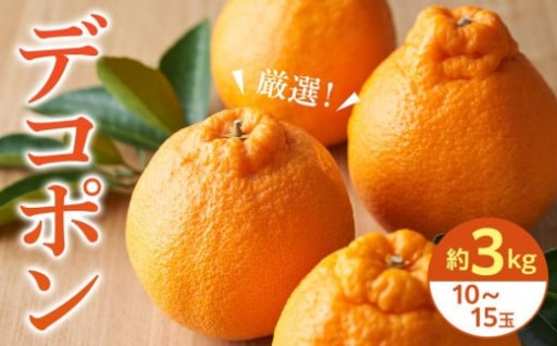 【2026年3月上旬より発送】厳選！濃厚甘味の「デコポン」約3kg 
