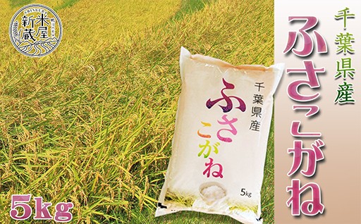 もっちり食感の『ふさこがね』。おにぎりや太巻きに