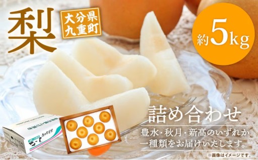 大分県 九重町産 梨 詰め合わせ 約5kg 【2026年8月下旬-10月下旬発送予定】