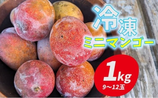 久米島赤鶏牧場 完熟！冷凍ミニマンゴー1kg（9～12玉）