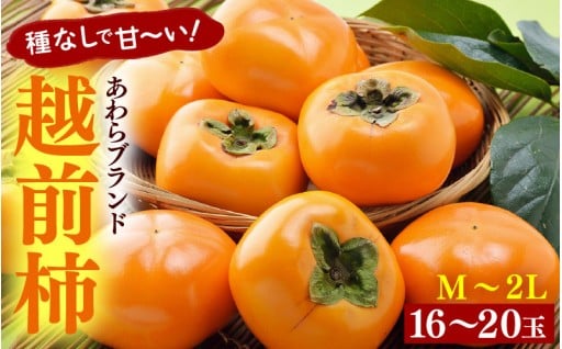 【ブランド柿】種なしで食べやすい！甘くまろやか！