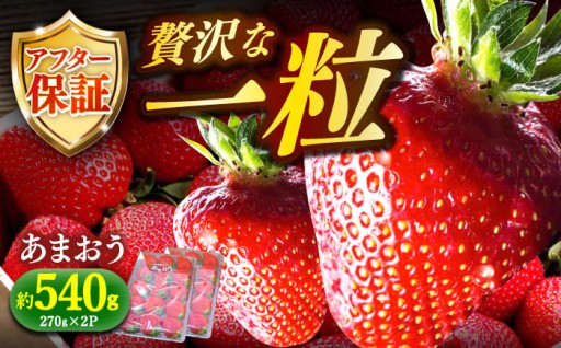 【今が旬！】朝採りの「あまおう」をそのままに。一粒ずつ大切に守った、ご褒美いちご