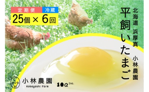 厚真町産！平飼い有精卵25個【全6回定期便】