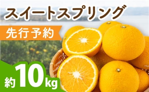 【1月下旬までみかん受付！】スイートスプリング