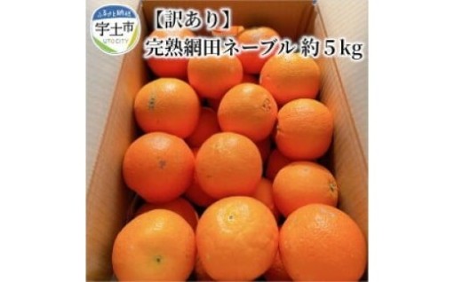 🟢🟡【訳あり】【家庭用】🍊村田果樹園 🍊完熟網田ネーブル 約５kg🟡🟢