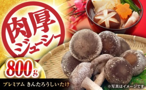 香り高くジューシー！肉厚プレミアム椎茸