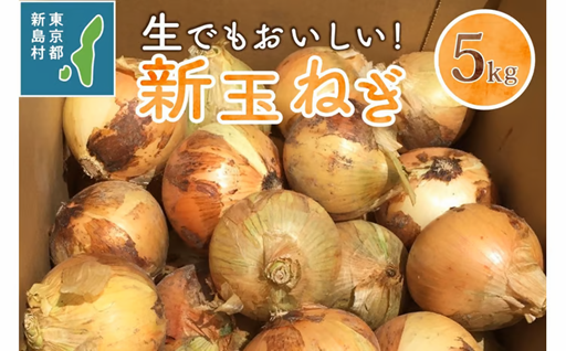 東京都 新島産 新玉ねぎ 5kg