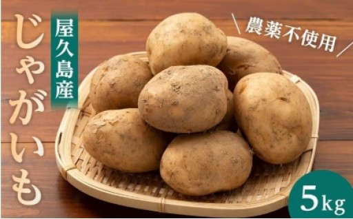 【2026年3月上旬頃から発送】屋久島産 じゃがいも 5kg＜農薬不使用＞