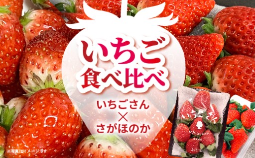 ＼新登場／いちご食べ比べ（いちごさん・さがほのか）