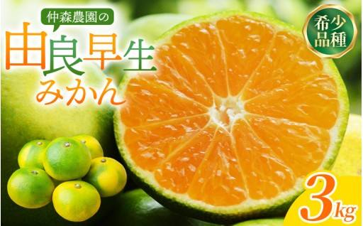 仲森農園の由良早生みかん 約3kg