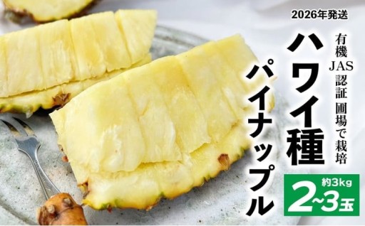 有機JAS認証圃場で栽培　ハワイ種パイナップル　2～3玉（約3kg）