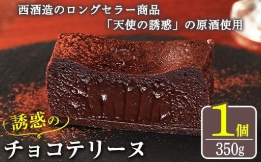 天使の誘惑使用！誘惑のチョコテリーヌ(1個)350g 