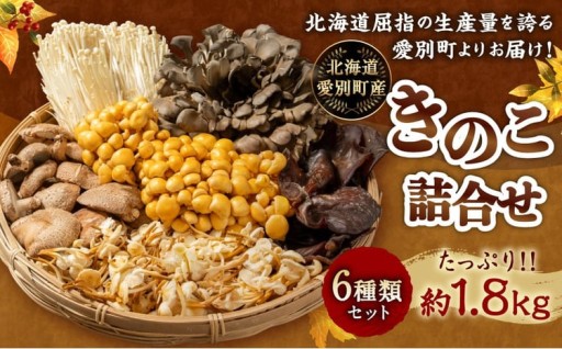 きのこ詰合せ （6種類） セット