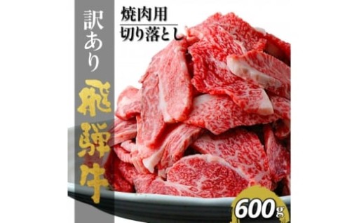 ＜訳あり＞飛騨牛切り落し焼肉用600g	