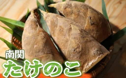 春の味覚！南関町のたけのこ特集