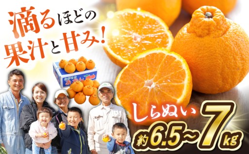 【3月より順次発送】 デコポン 不知火 約6.5～7kg ＜川添みかん園＞ [CCT010]