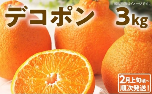【期間限定】🍊濃厚でジューシーなデコポン🍊