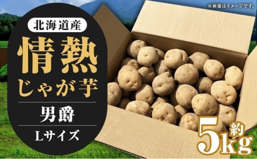 【先行受付】北海道産 情熱じゃが芋（男爵） Lサイズ 計約5kg