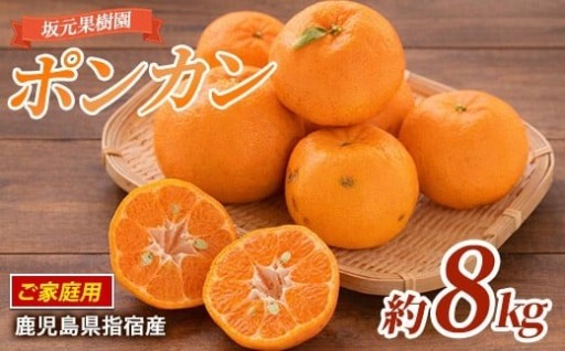甘くて濃厚🍊皮むき簡単！坂元さんちのポンカン 約8kg