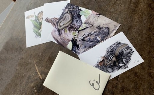 川崎映 ポストカードセット（全5種類）