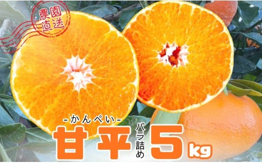 🍊人気柑橘【甘平-かんぺい-】🍊5kg（Mサイズ） バラ詰め ～シャキシャキ食感がクセになる！～