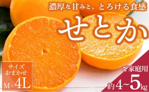 濃厚な甘みがギュッと詰まったジューシーせとか！