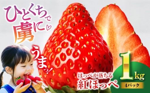 ほっぺが落ちる美味しさ、沢井青果の紅ほっぺ