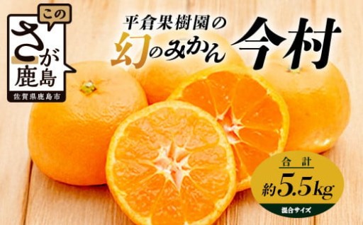 《まぼろしのみかん》『今村』 約5.5kg