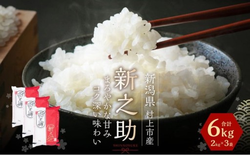 【令和7年産米】新潟県 村上市 岩船産 新之助6kg