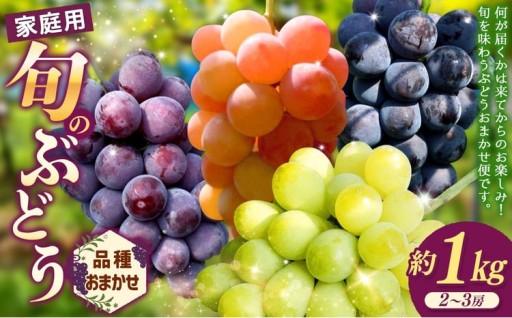 【先行予約】ご自宅用船坂ぶどう 約1kg（2～3房）