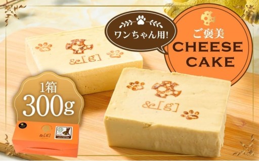 ワンちゃん用！ご褒美 cheese cake