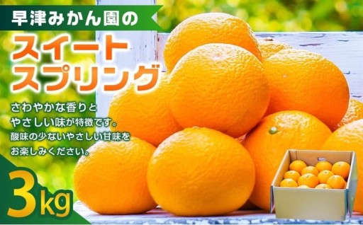 早津みかん園のスイートスプリング 3kg