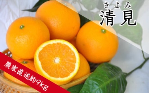 香りと味わい、濃厚さを求めるならこれ！清見（きよみ）（約9㎏）