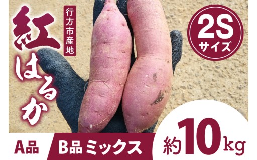 茨城県行方市特産紅はるか 2Sサイズ(A品・B品ミックス) 約10kg