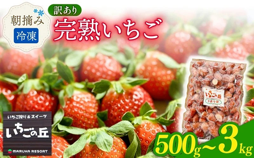 【訳あり】冷凍　朝摘み完熟いちご