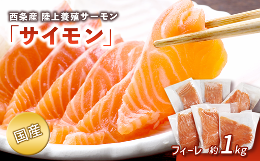 【国産】西条産陸上養殖サーモン「サイモン」