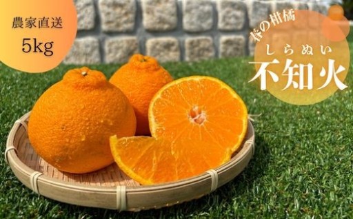 濃厚な美味しさの柑橘！不知火約5キロ！