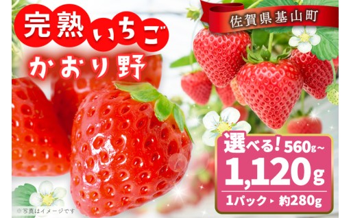 基山町発 自慢のいちご「かおり野」🍓