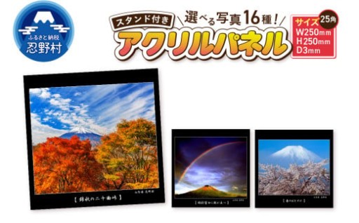 山梨フジカラー・アクリルパネル（25角）