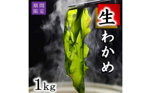 生わかめ 北三陸産 早どりワカメ 1kg