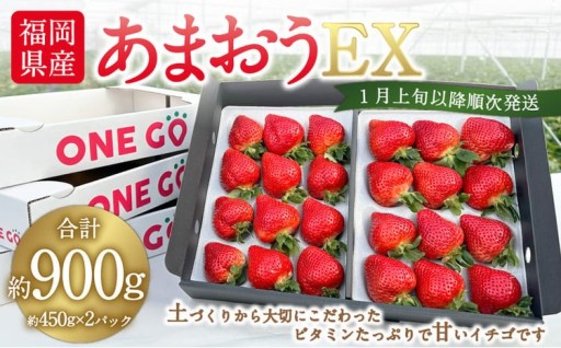 ギフト配送 福岡県産あまおう EX 約450g×2パック 〈特別栽培〉