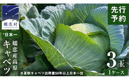 【7月中旬発送開始】 嬬恋キャベツ