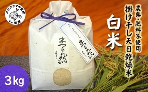 栽培期間中・肥料も農薬も一切使わないまつらの然🌾